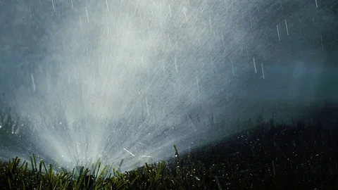 Spraying Water on Green Grass Vidéo 77377784