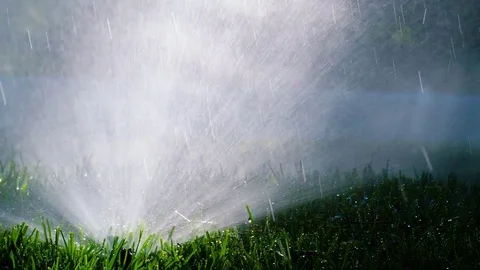 Spraying Water on Green Grass 库存影片 77377799