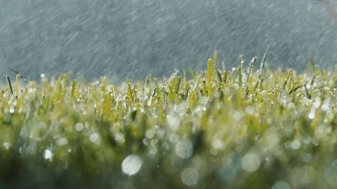 Spraying Water on Green Grass 库存影片 77377809
