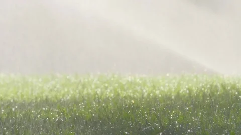 Spraying Water on Green Grass Vidéo 77377889