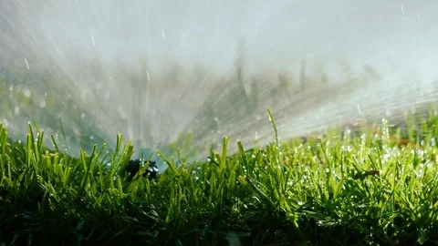 Spraying Water on Green Grass Video stock 77377905