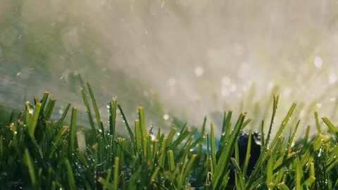 Spraying Water on Green Grass Vídeo Stock 77377938