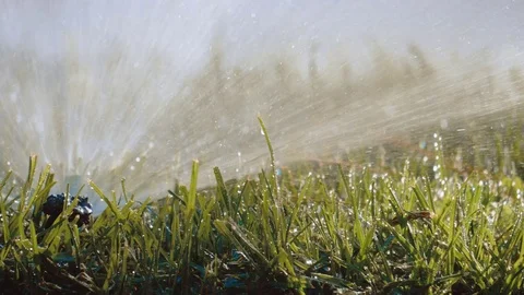 Spraying Water on Green Grass 库存影片 77377963