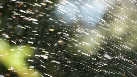 Spraying Water on Green Grass Stockbeeldmateriaal 77555495