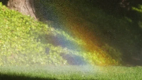 Spraying Water on Green Grass 库存影片 77555701