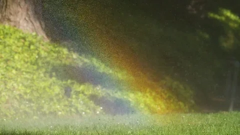 Spraying Water on Green Grass Vídeo Stock 77555709