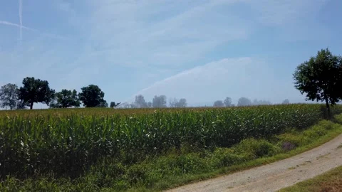 Spraying water from the irrigation system on a corn field Stock Footage 247724427