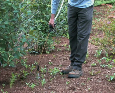Spraying Weeds 2  Stock Footage 475104