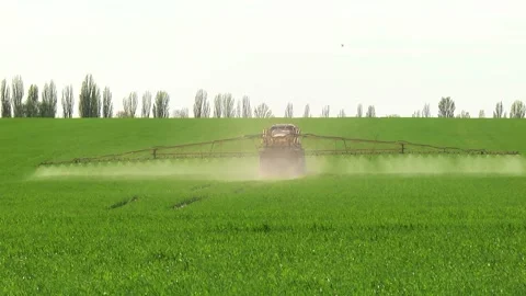 Spraying a wheat field. Application of plant protection products Stock Footage 145935380