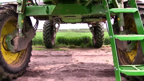 Spraying a wheat field. Application of plant protection products Stock Footage 145935389