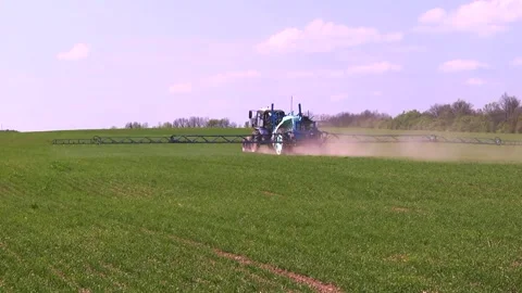 Spraying a wheat field. Application of plant protection products Stock Footage 145935404