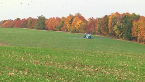 Spraying a wheat field. Application of plant protection products Stock Footage 145935409