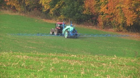 Spraying a wheat field. Application of plant protection products Stock Footage 145935410