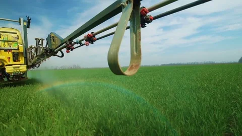 Spraying Wheat Fields With Herbicides.The work of 3D nozzle sprayer.The Stock Footage 77156924