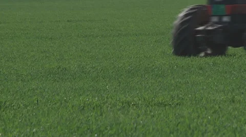 Spraying wheat Stock Footage 64051189