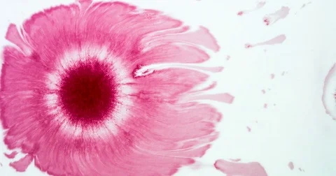 Spread a Drop of Red Ink 4K Stock Footage 71399348