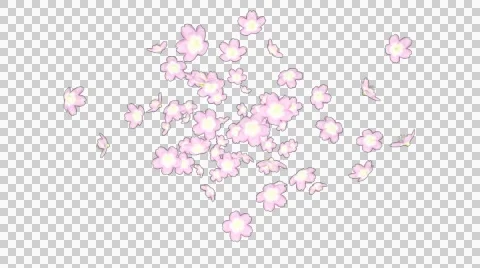 Spread flowers 001 Stock Footage 49069915