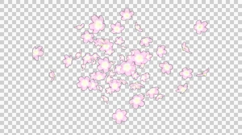 Spread flowers 002 Stock Footage 49069942