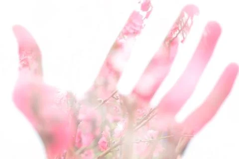 Spread the hand and grab the spring Stock Photos