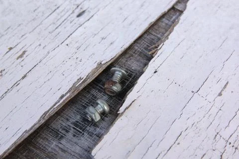 Spread  of old screws  Stock Photos
