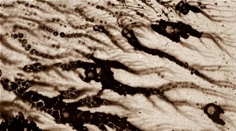 Spread Out Видео 104995