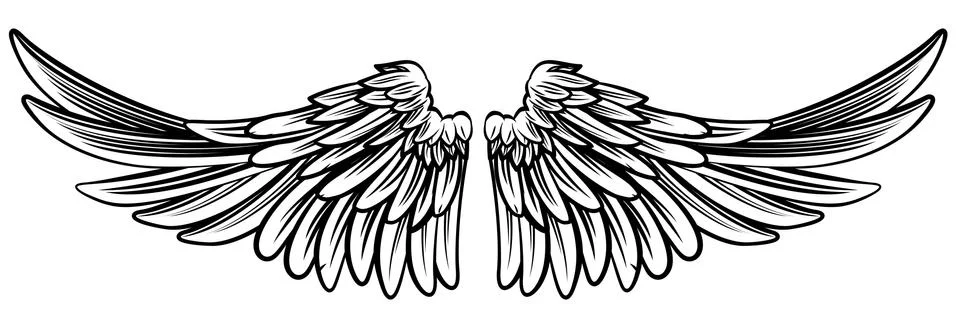 Spread Pair of Angel or Eagle Wings Stock Illustration
