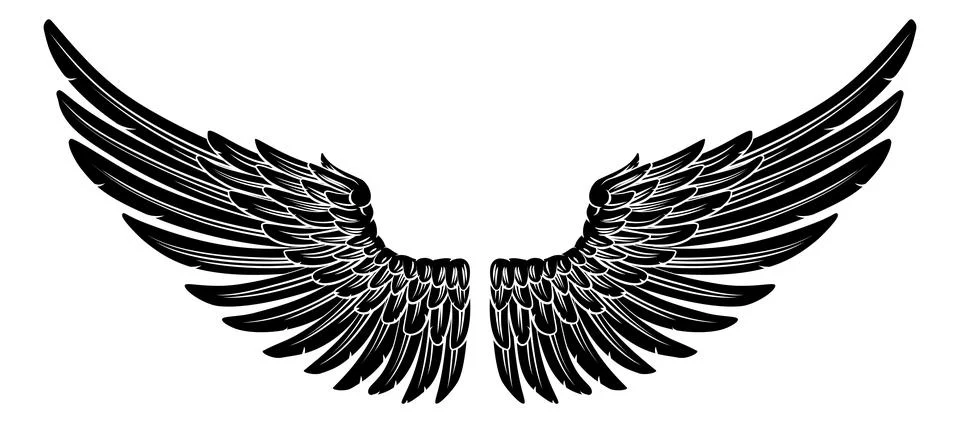 Spread Pair Of Angel Or Eagle Feather Wings Stock Illustration