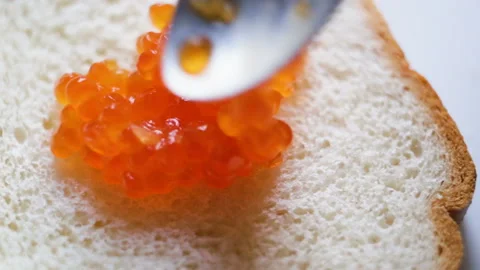 Spread the red caviar on toast bread with a spoon. Expensive treat. Close up, re Stock Footage 108063481