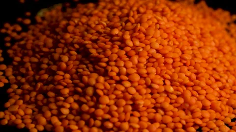 Spread Red Lentils Close Up Stock Footage 329967014