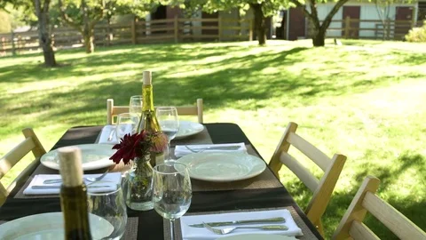 Spread table in a yard 動画素材 77083065