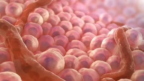 Spread of tumor cell Stock Illustration