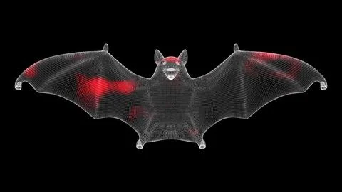 Spread of virus through volumetric bat monochrome on black background. Visu.. Stock Illustration