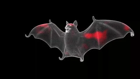 Spread of virus through volumetric bat monochrome on black background. Visu.. Stock Illustration
