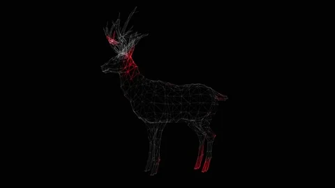 Spread of virus through volumetric body of deer rotation on black background 動画素材 235938382