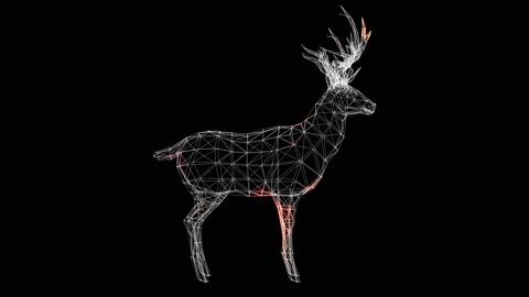 Spread of virus through volumetric body of animal monochrome on black background Stock Footage 238775254