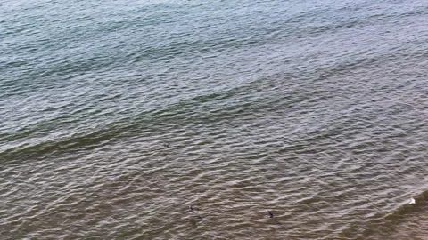 Spread Your Wings And Fly; Large Birds Soaring Across Ocean Sea Waves; Stock Footage 259745056