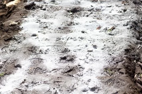 Spreaded powder of lime stone Stock Photos