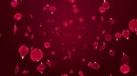 Spreading 3D Rose petals - Motion background Stock Footage 64624988