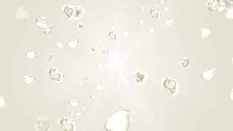 Spreading 3D white roses animation Stock Footage 75918437