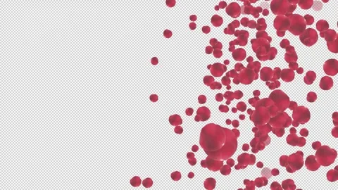 The spreading and rotating red petals move from the right corner. Vídeos de archivo 321009649