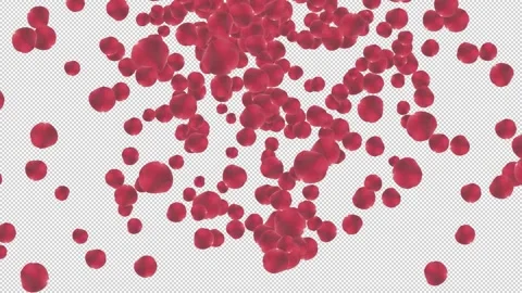 Spreading and rotating red petals from top to bottom 스톡 동영상 321010259