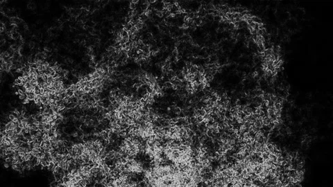 Spreading Black and White Texturized Clouds 스톡 동영상 153719835