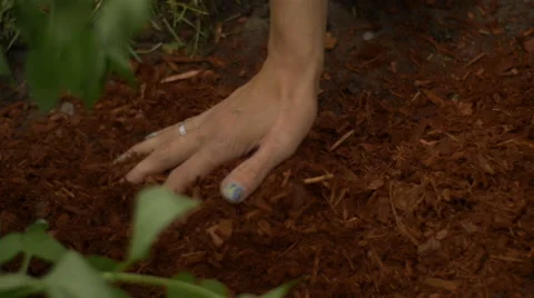 Spreading Mulch Video stock 51392083