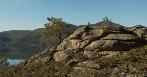 A spreading pine tree grows on a stone rock. Mountain lake shore. Stock Footage 142124814