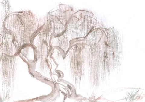 Spreading willow in spring forest Stock-Illustration