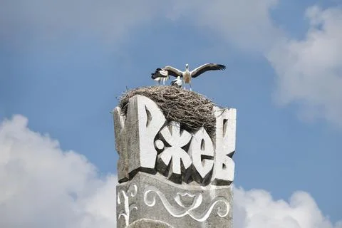 Spreading the wings Stock Photos