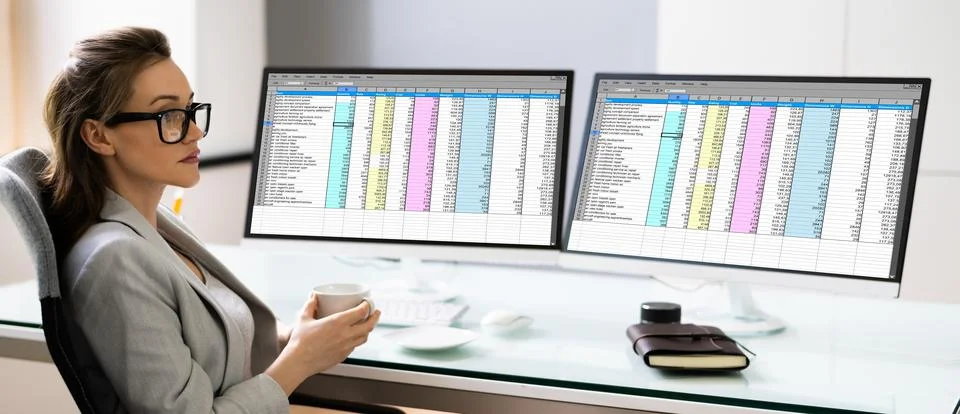 Spreadsheet Analyst Employee Using Computer Monitors 스톡 사진