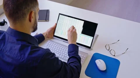 Spreadsheet Business Data Analyst Stock Footage 221564456