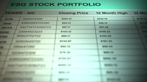 Spreadsheet Containing Generic ESG Stock Offerings Stock Footage 328266627