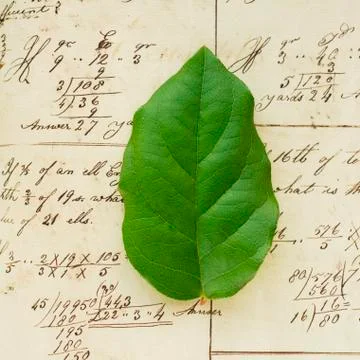 Spreadsheet with green leaf Stock Photos